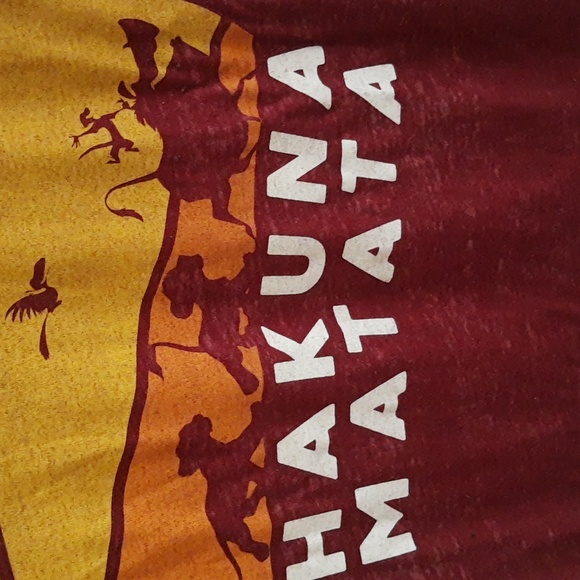 Disney Lion King Hakuna Matata Distressed Short Sleeve BURNOUT Tee Women’s L - Picture 4 of 12